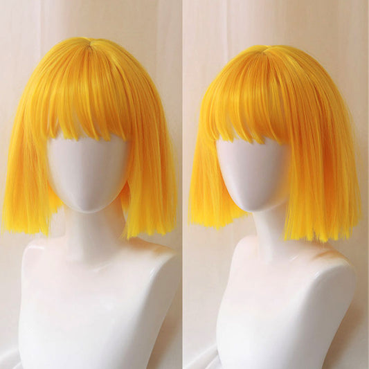 Various Colors Short Straight Synthetic Wig With Bangs Package